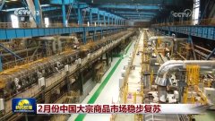 <b>2月份中国大宗商品市场稳步苏醒</b>
